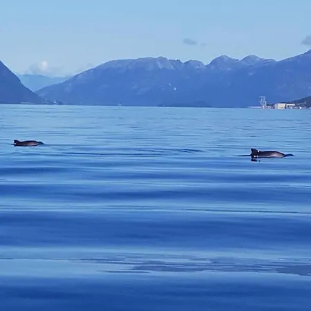 Fjordhytte-39 Am Hardangerfjord, Motorboot Mietbar Rosendal
