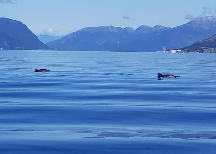 Fjordhytte-39 Am Hardangerfjord, Motorboot Mietbar Rosendal